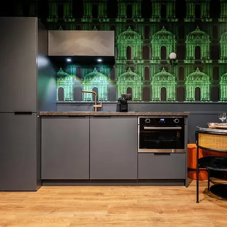Duplex La Crypte Sauna&balnéo Et Climatisation - Centre Haguenau